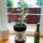 Fabryka Endorfin Apartman *