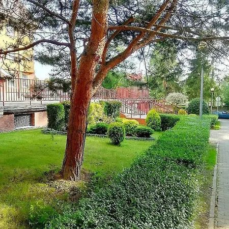 Daire Fabryka Endorfin Kłodzko