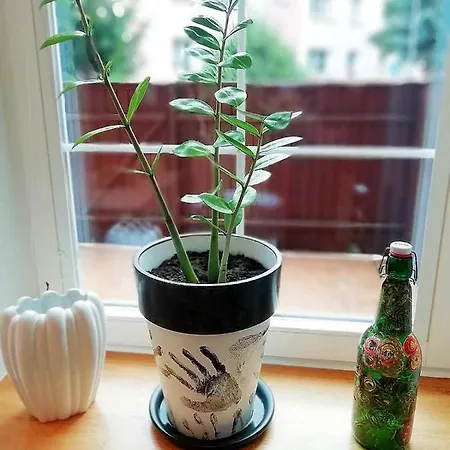 Fabryka Endorfin 公寓 *