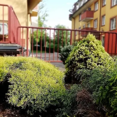 Fabryka Endorfin * Kłodzko