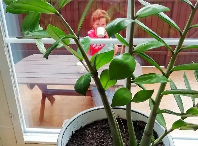 Fabryka Endorfin * Kłodzko