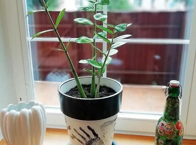 Fabryka Endorfin Appartement *