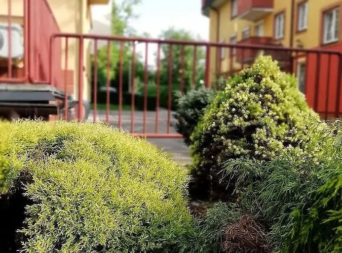 Fabryka Endorfin * Kłodzko